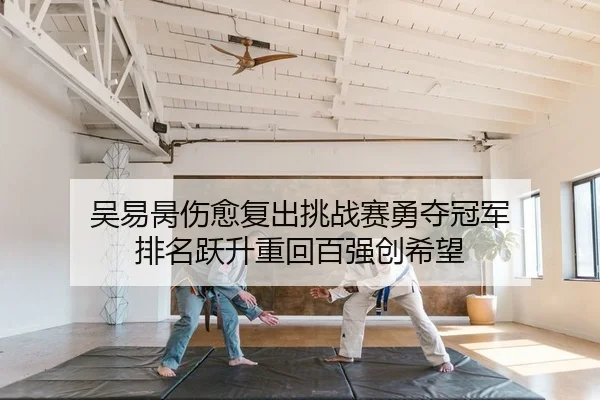吴易昺伤愈复出挑战赛勇夺冠军 排名跃升重回百强创希望